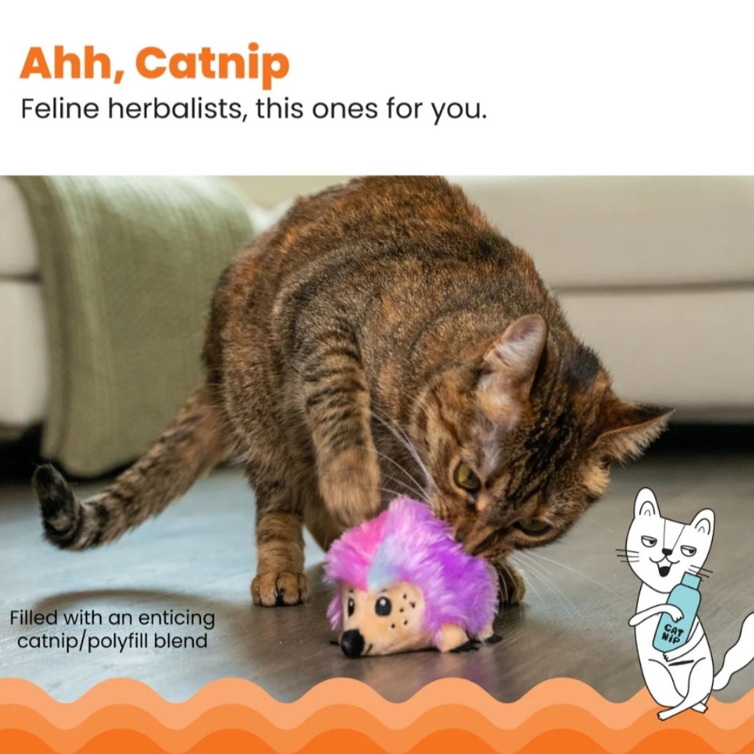 Catnip Plushies Hedgehog