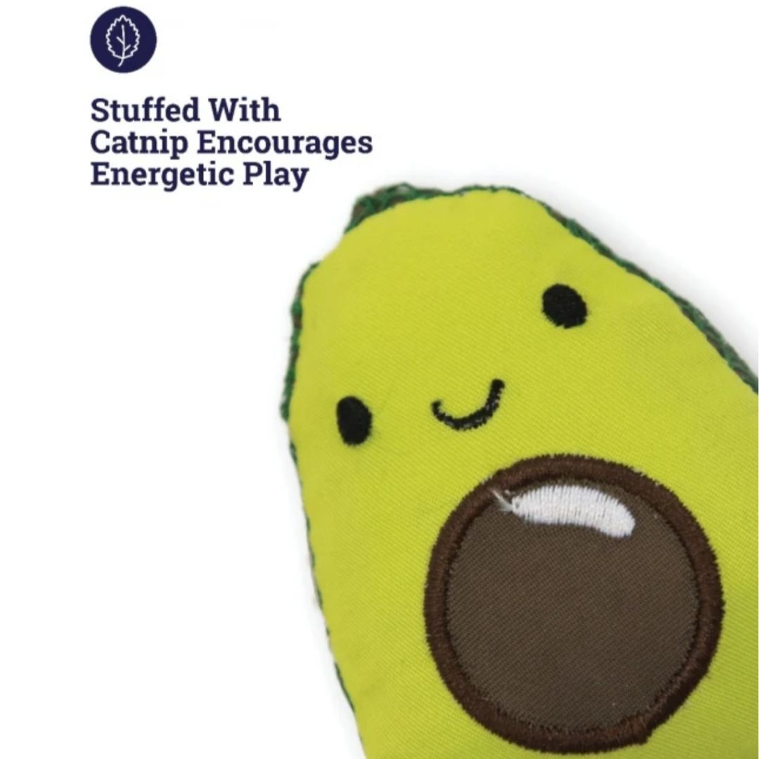 Dental Avo