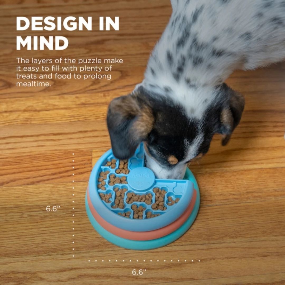 Nina Ottosson Puppy Lickin' Layers