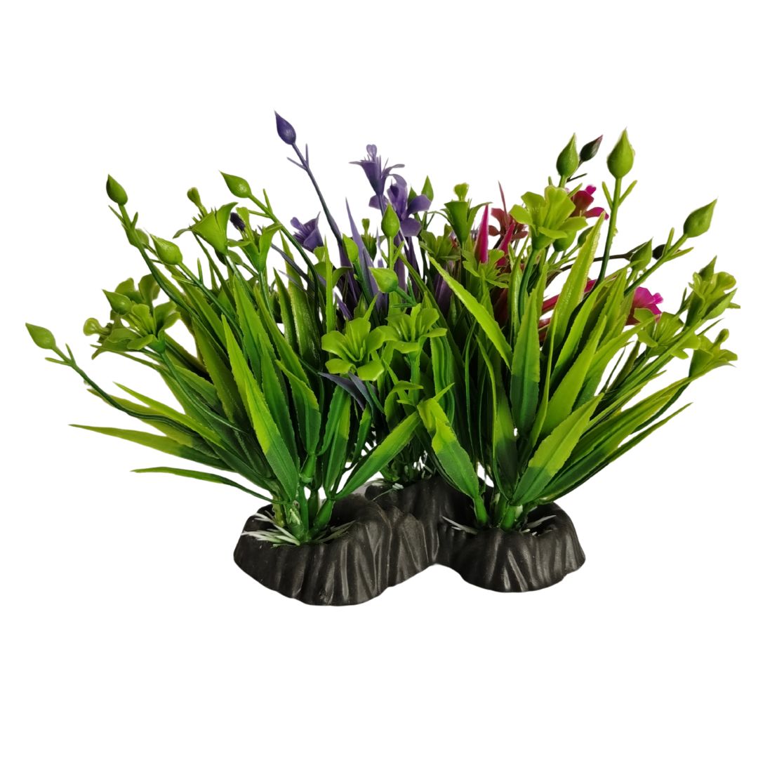 Dreamy Garden-Style Plant