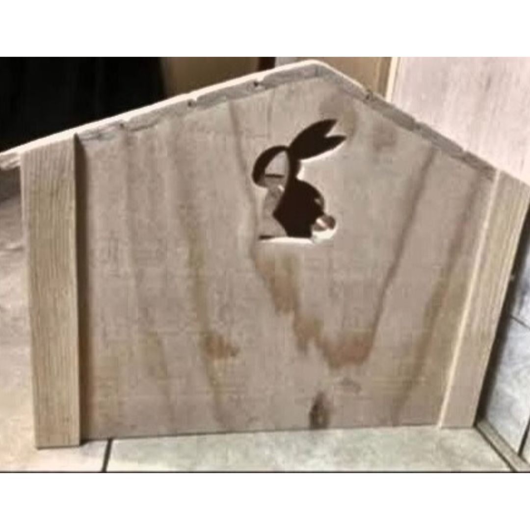 The Real Bunny House