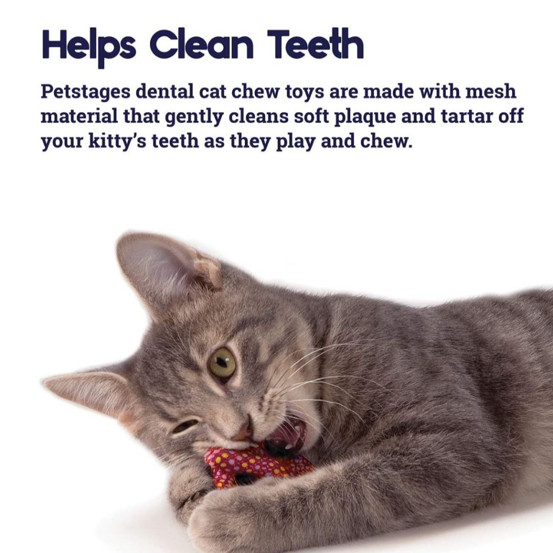 Catnip Plaque Away Pretzel