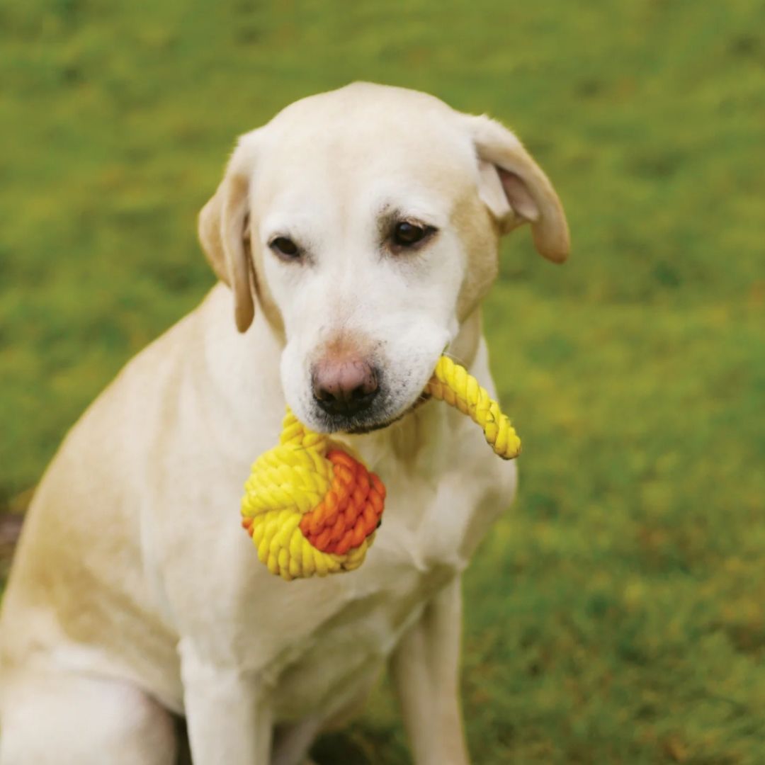 Tough Twist Rubber & Rope Ball Tug (29cm)