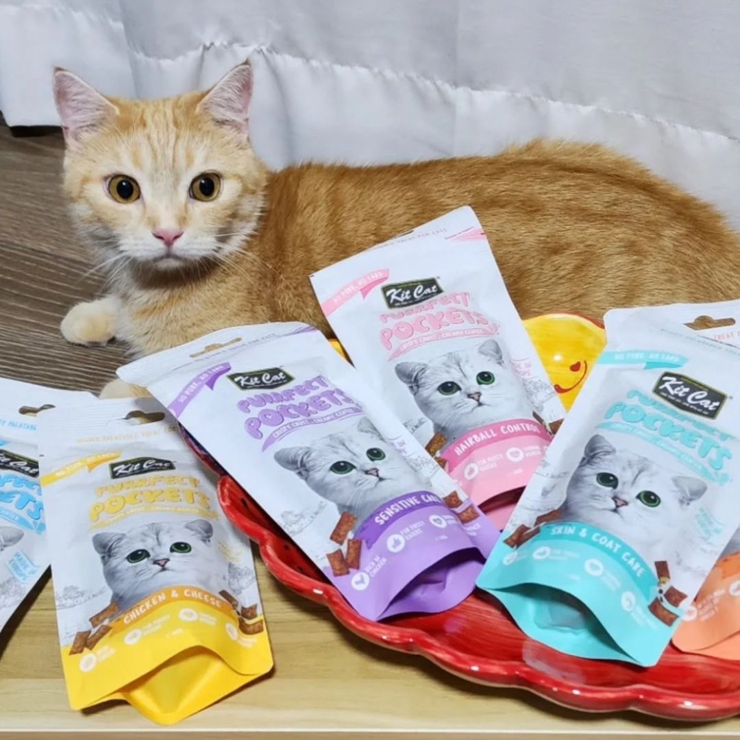 Kit Cat Purrfect Pockets 60g BUY 4 GET 1 FREE