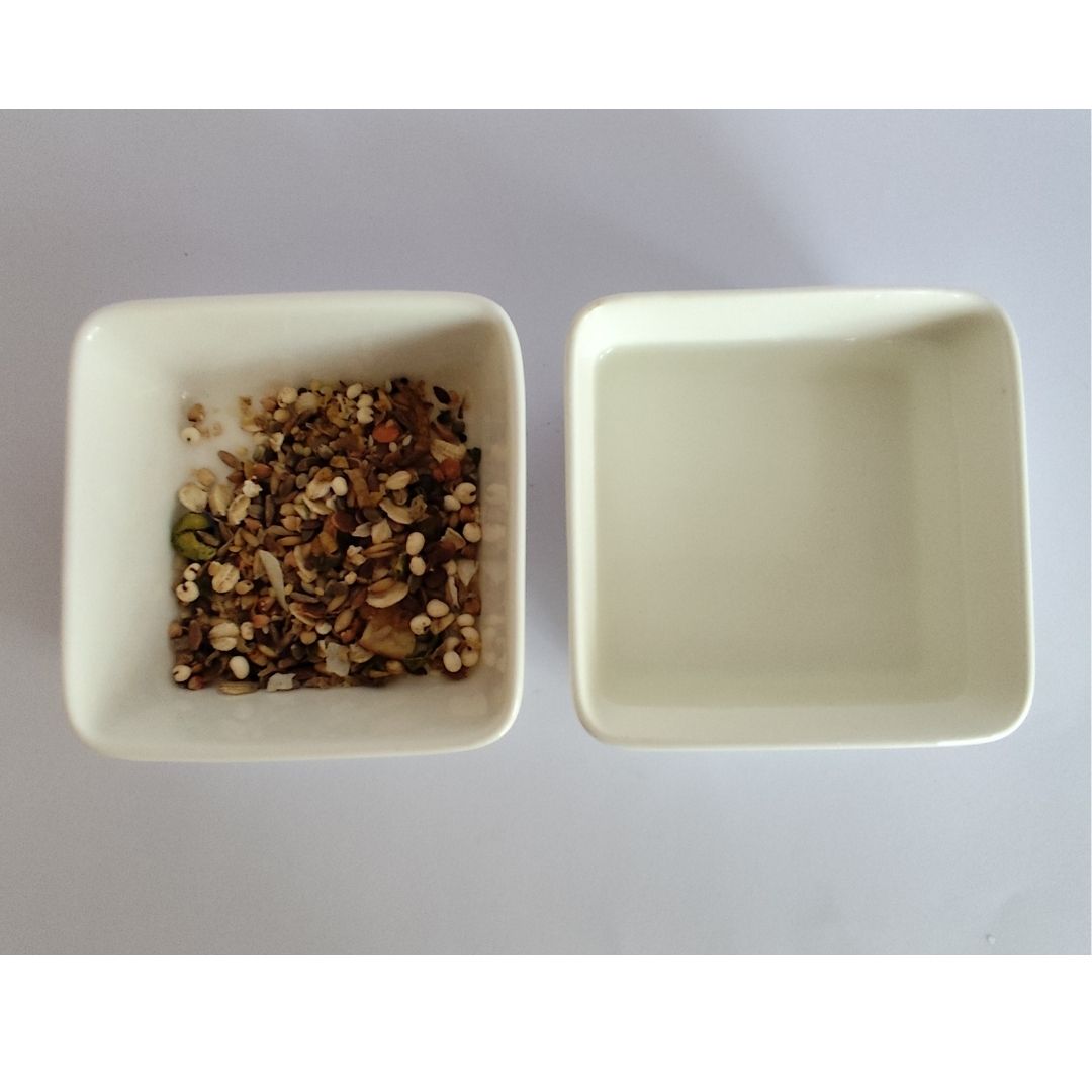 Small Animal Food & Water Bowls - Soft White
