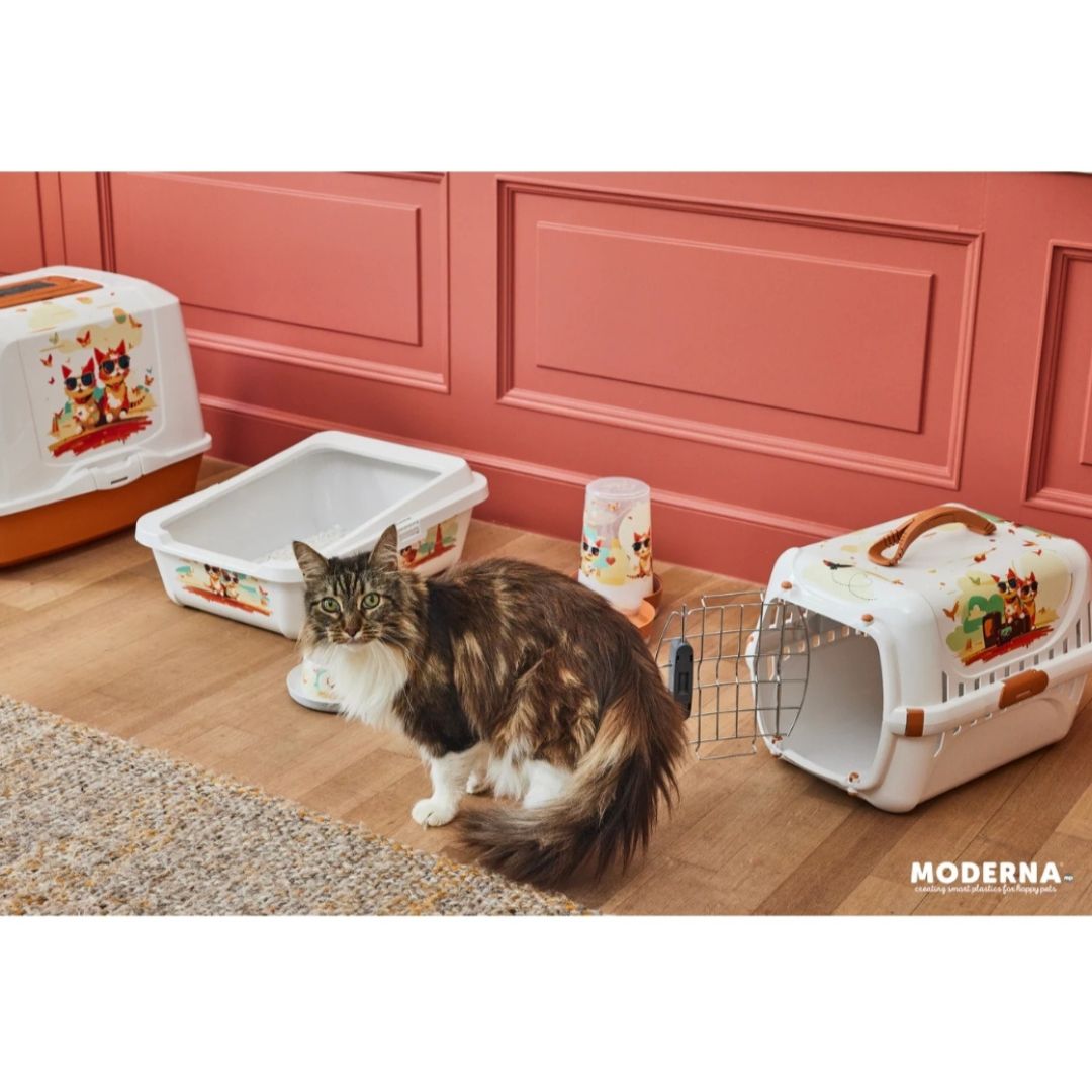 Trendy Runner - Spring Lock Door Indy & Louise