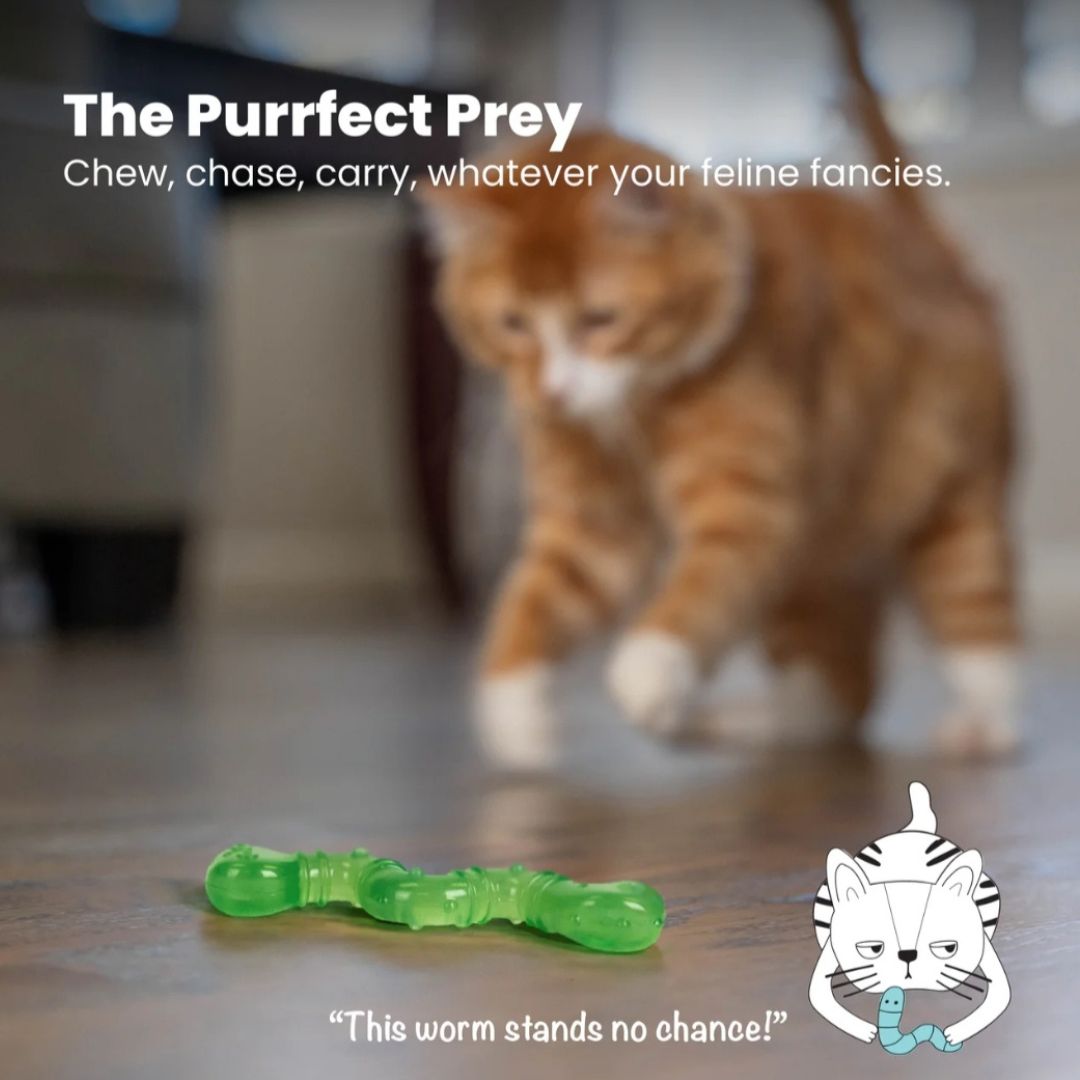 Orka Cat Wiggle Worm