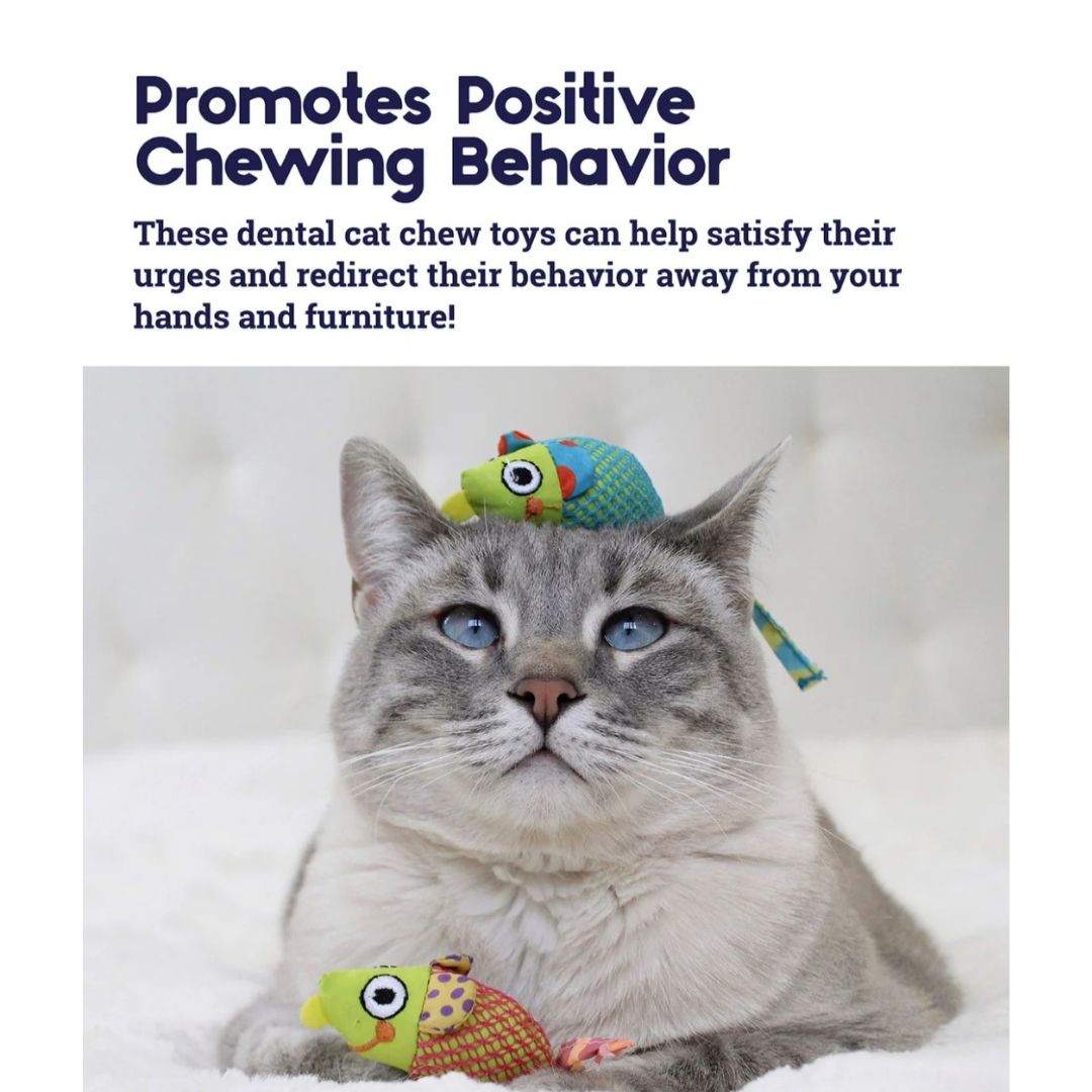 Catnip Chew Mice