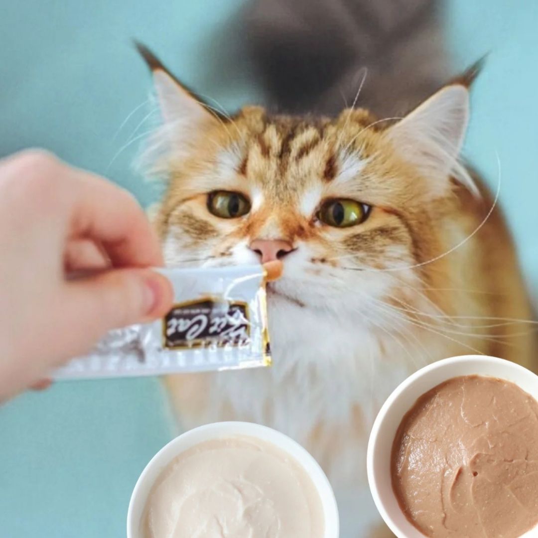 Kit Cat Purr Puree Plus+ Bulk Deal (15g x 32 sachets)