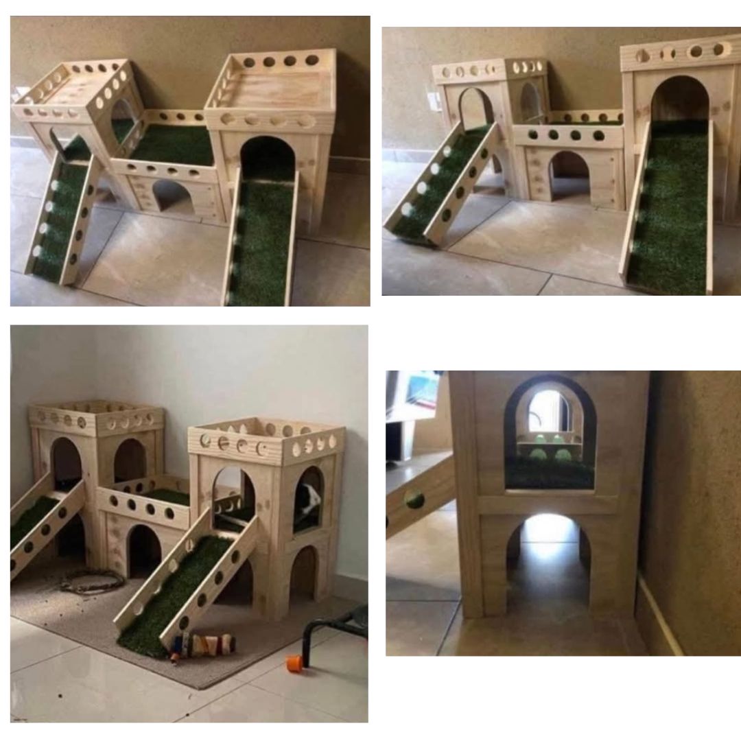 The Awesome Castle (All Rabbit Breeds)
