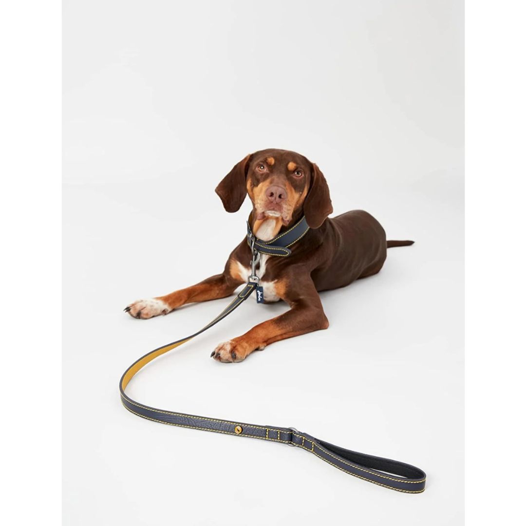 Rosewood & Joules - Navy Leather Lead