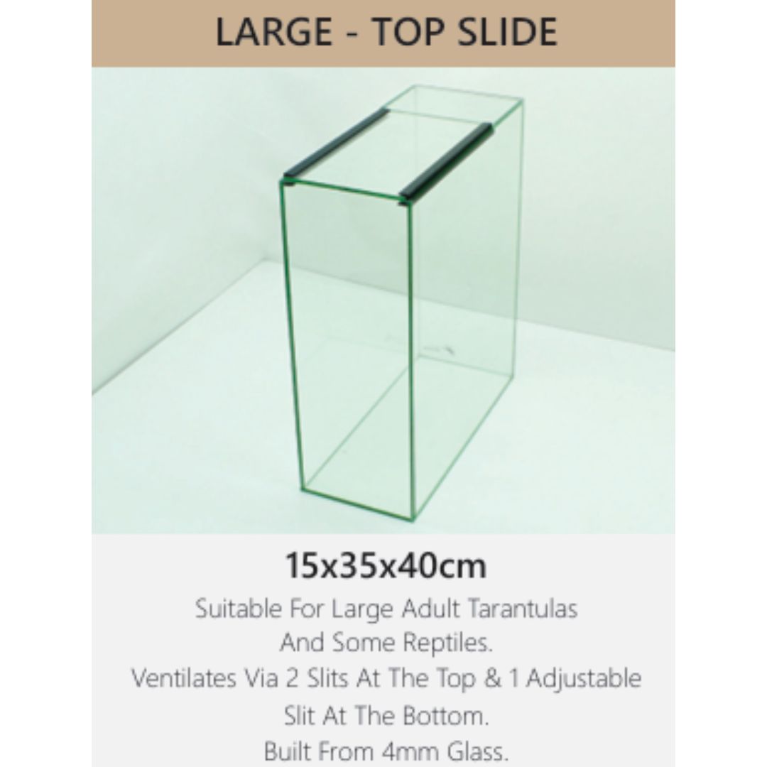 Large Top Slide Glass Terranium