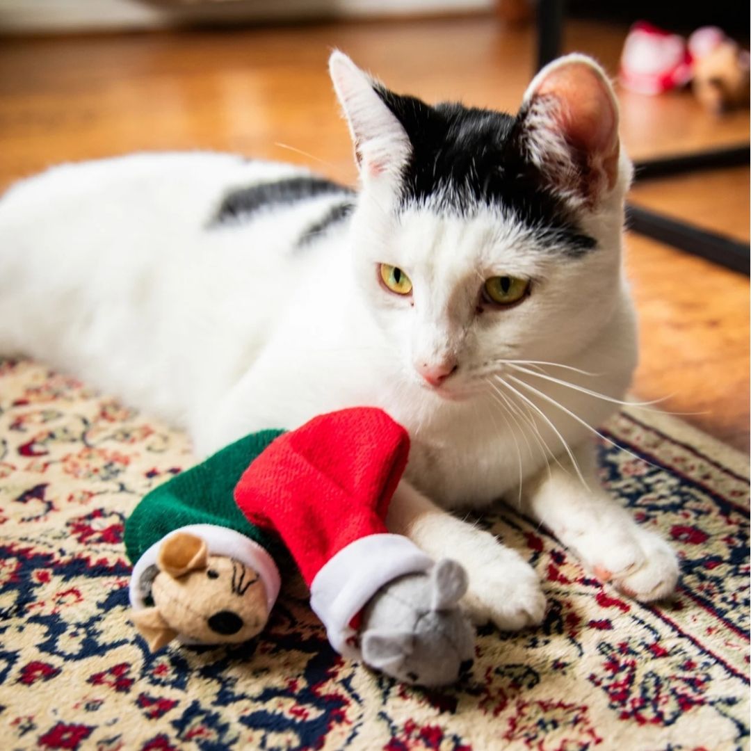 Martha & Mayor Mice Duo