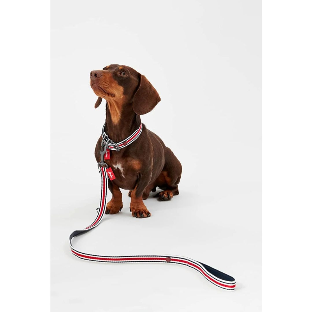 Rosewood & Joules Striped Lead