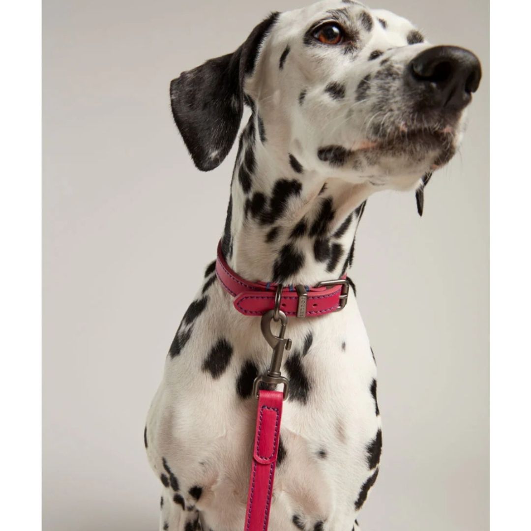 Rosewood & Joules - Pink Leather Lead