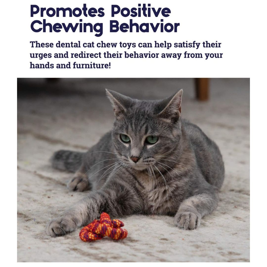 Catnip Plaque Away Pretzel