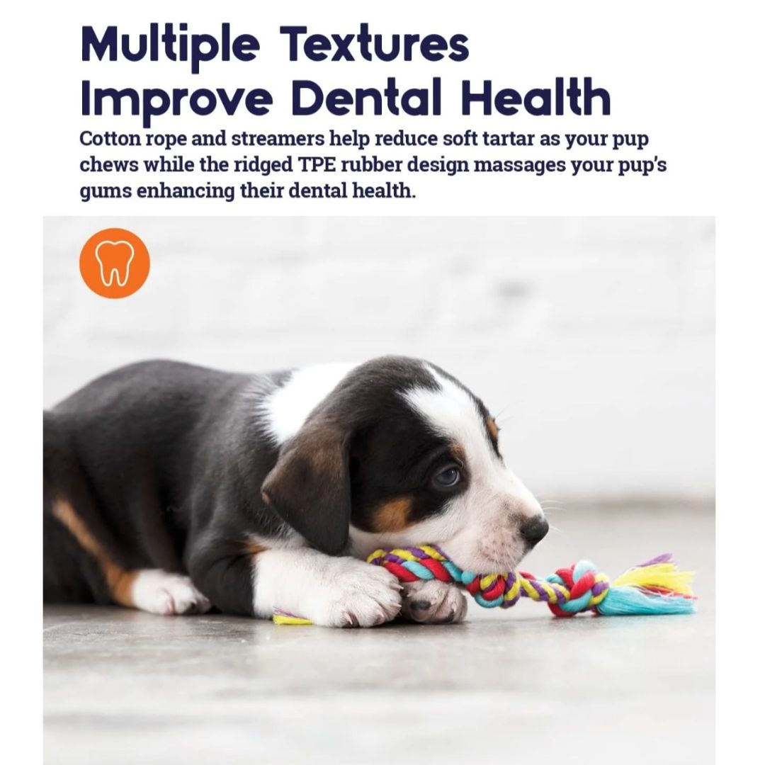 Mini Dental Chew Pack