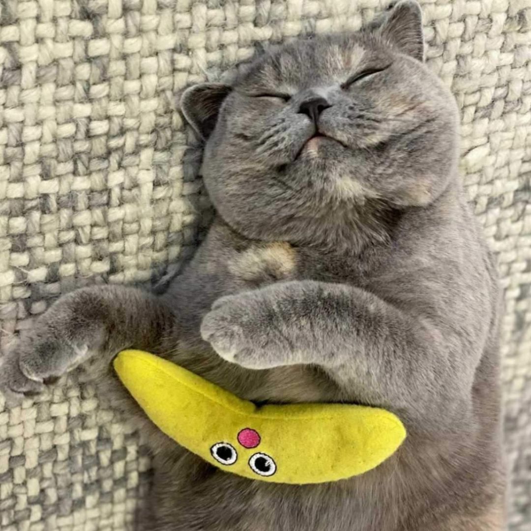 Dental Banana