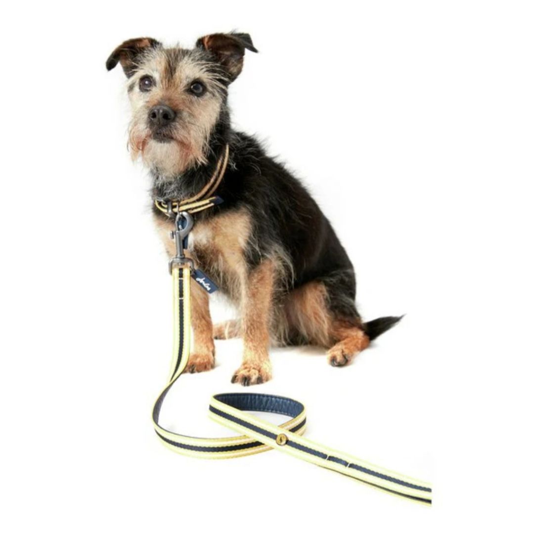 Rosewood & Joules Navy Coastal Lead