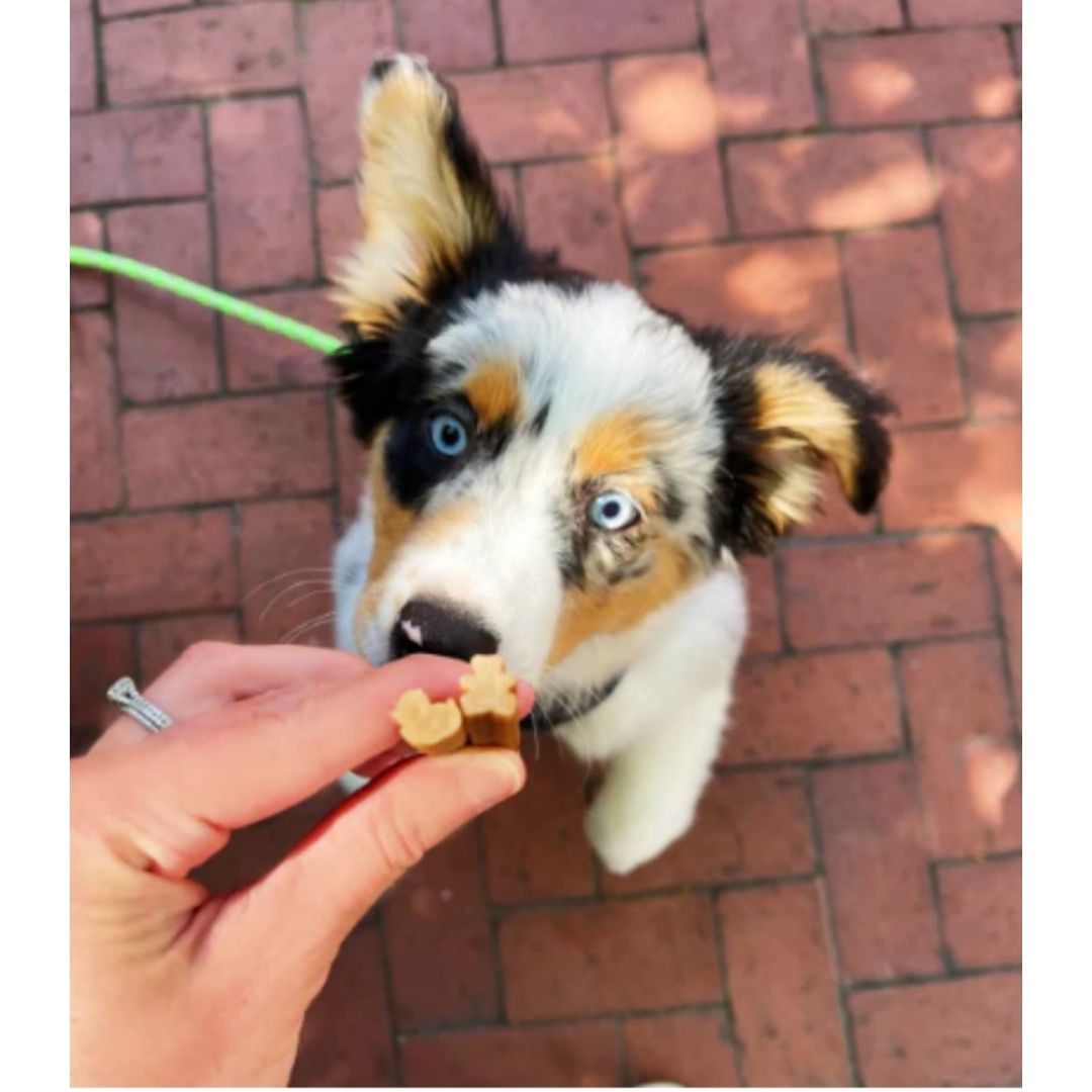 Whimzees X-Small/Small Puppy Value Bag (28pc)