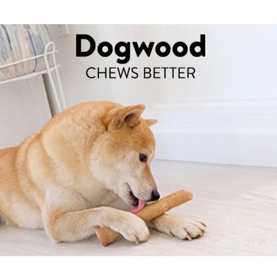 Dogwood Durable Stick