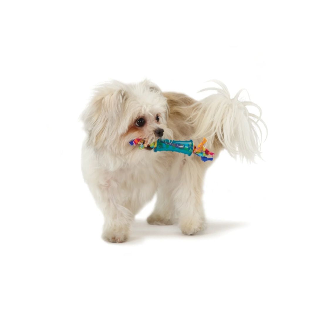 Mini Dental Chew Pack