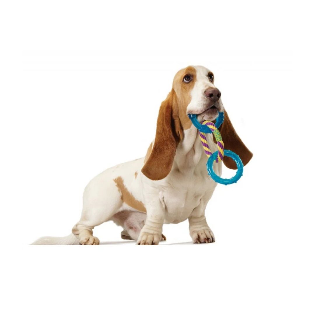 Orka Dental Triple Links
