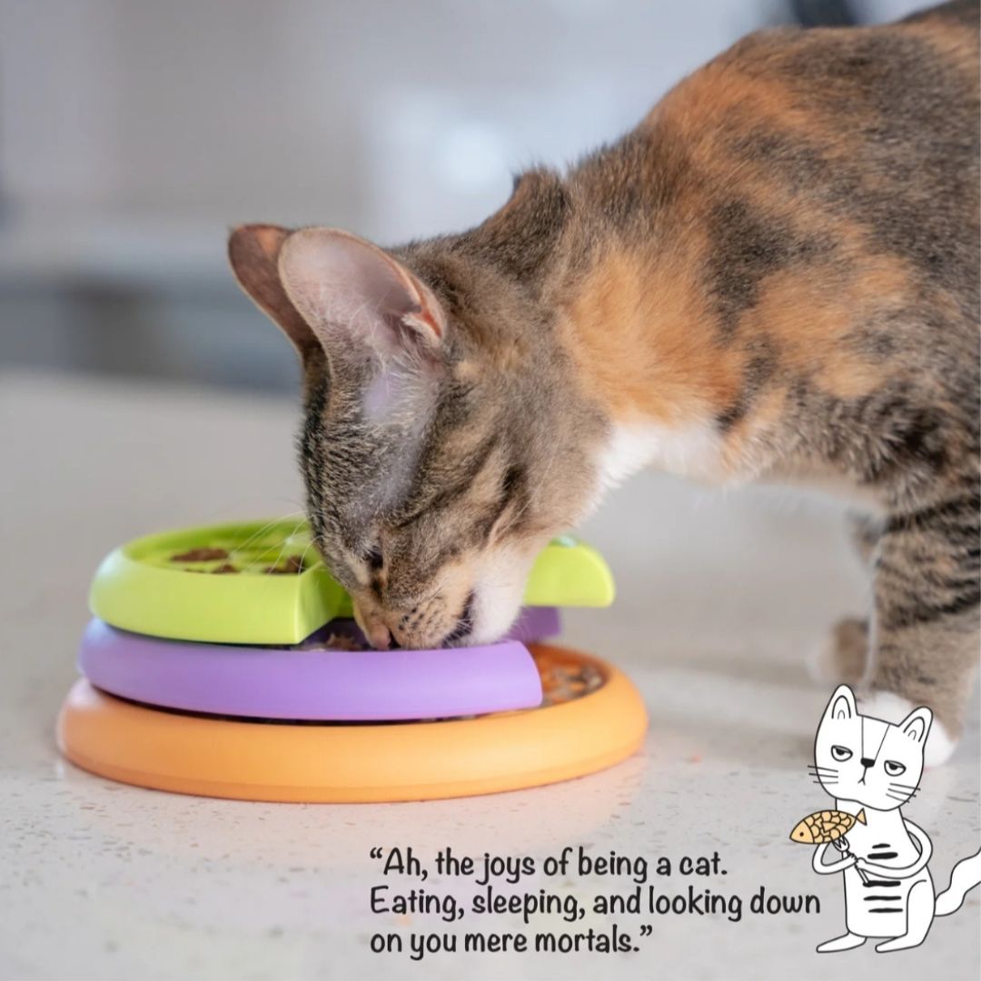 Kitty Lickin Layers
