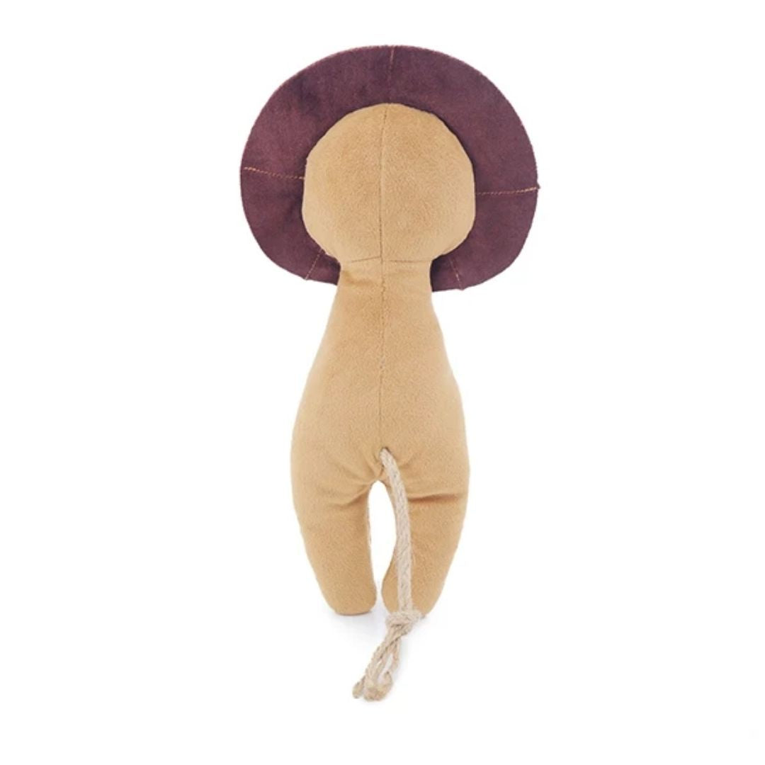 Rosewood ECO Friendly Lion