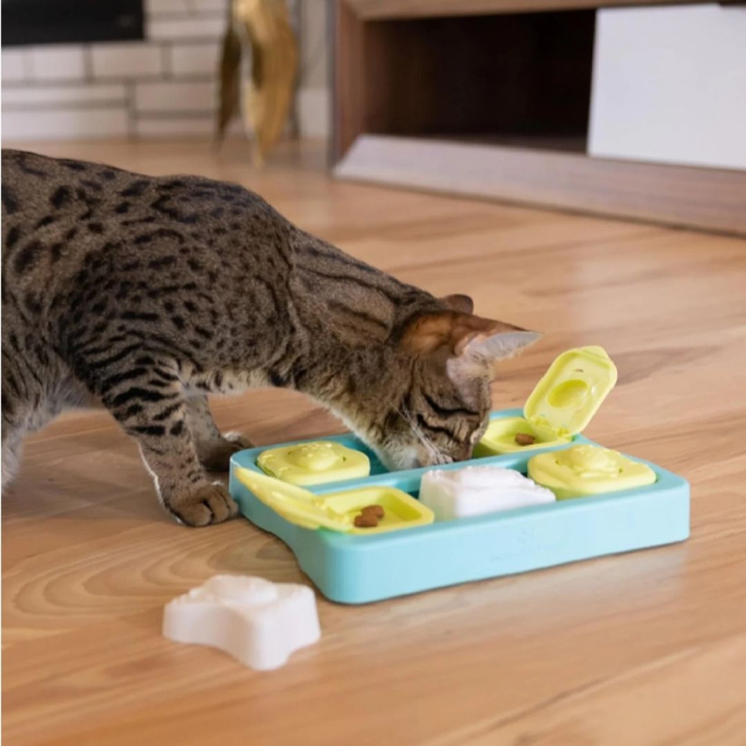 Kitty Cube Game Blu