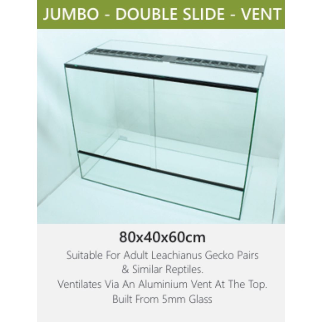 Jumbo Double Slide Vent Glass Terranium