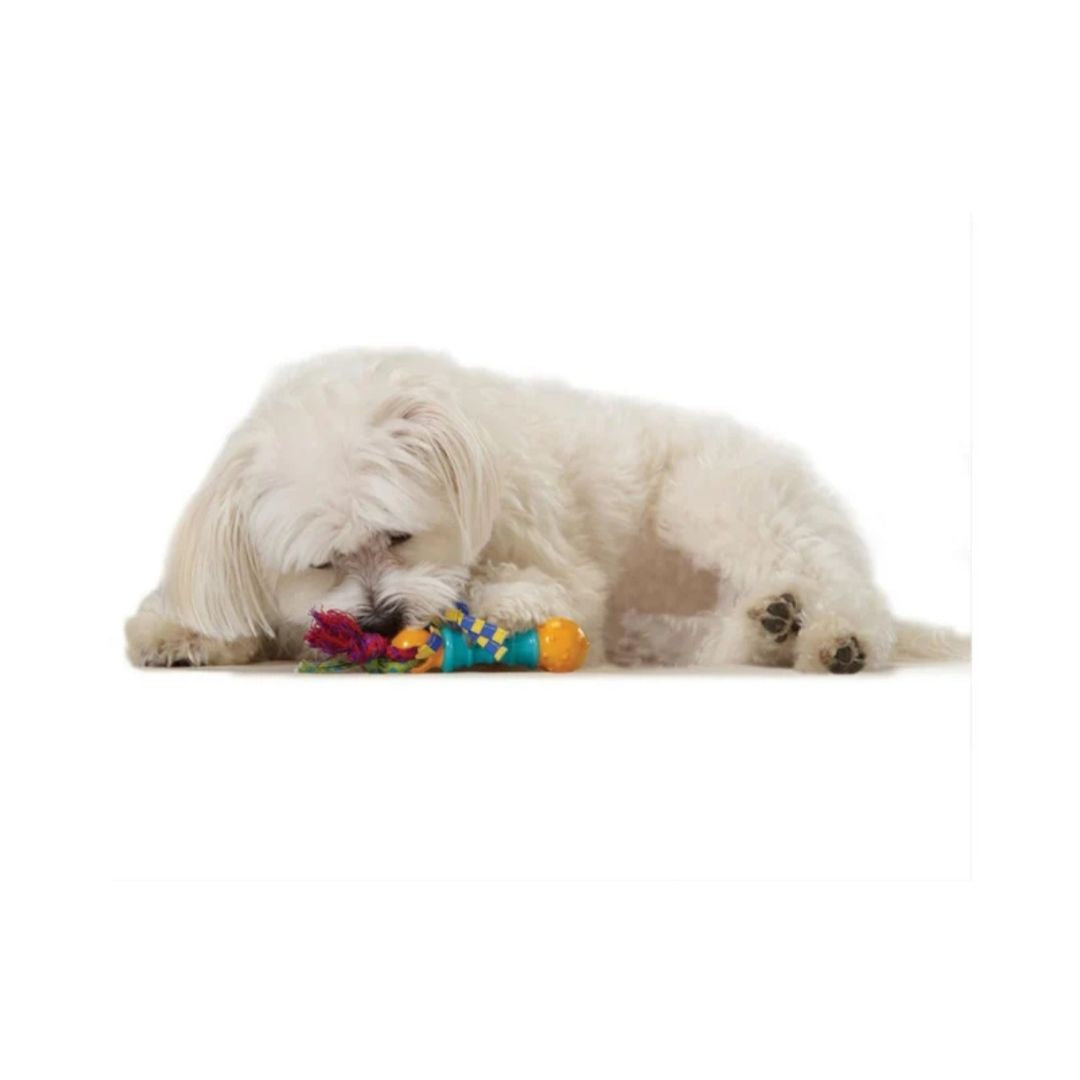 Mini Dental Chew Pack
