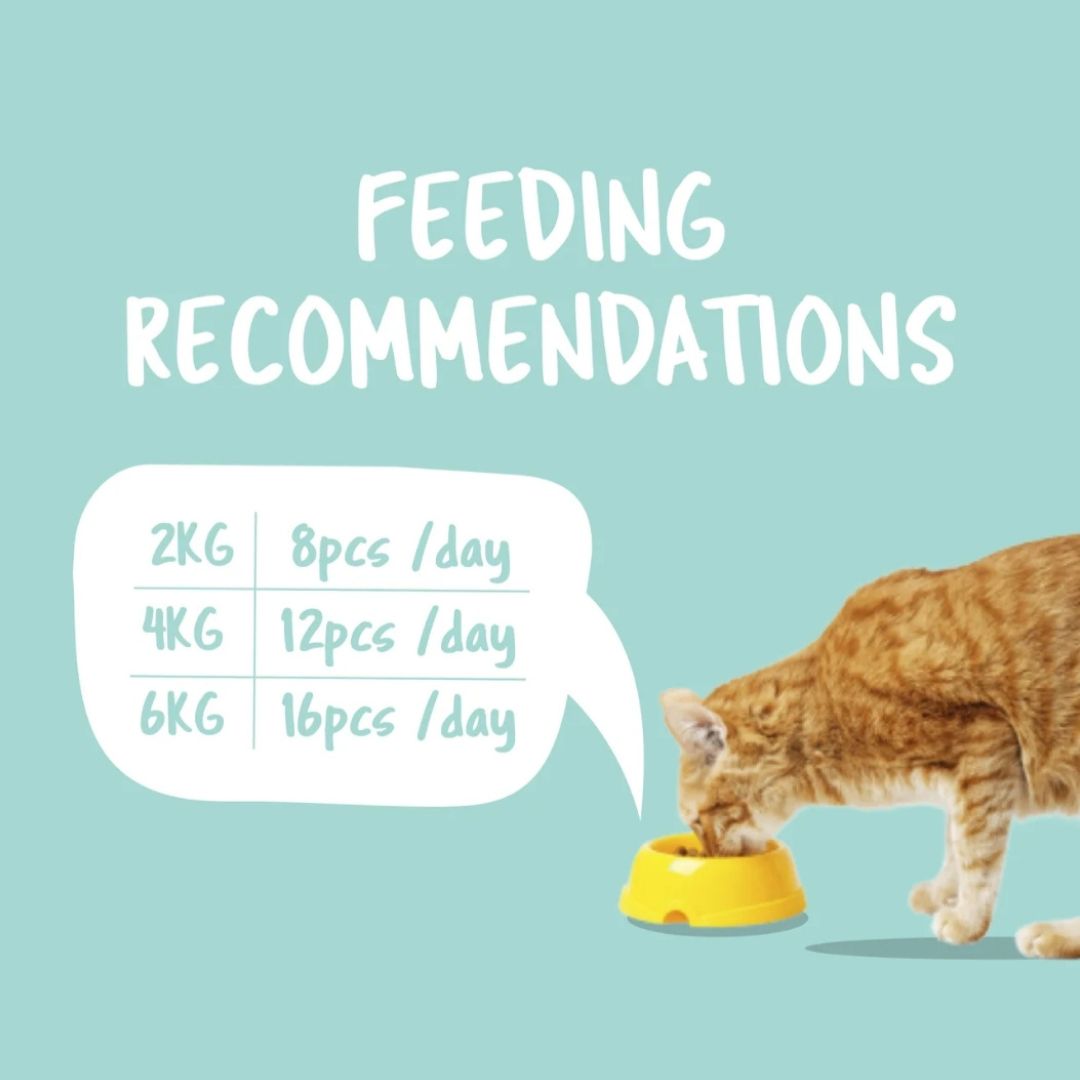 Kit Cat Purrfect Pockets 60g BUY 4 GET 1 FREE