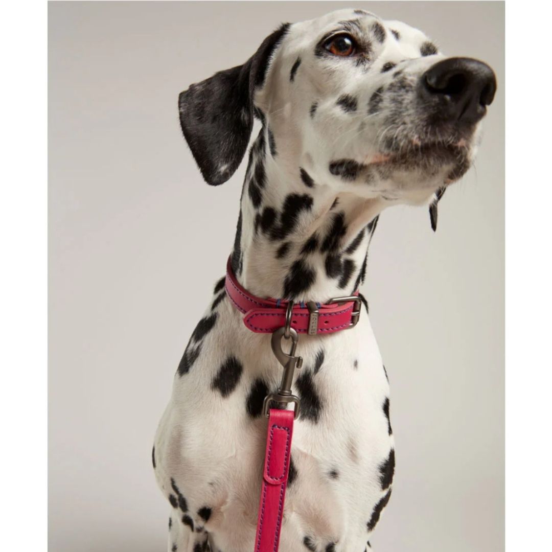 Rosewood & Joules - Pink Leather Collars