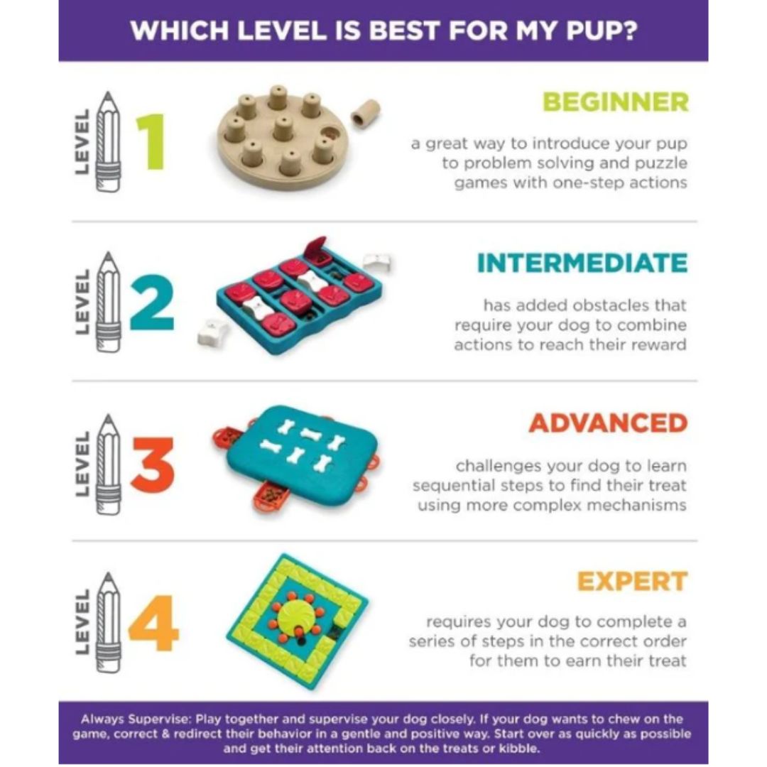 Nina Ottosson Dog Hide 'n Slide Purple Puzzle Feeder