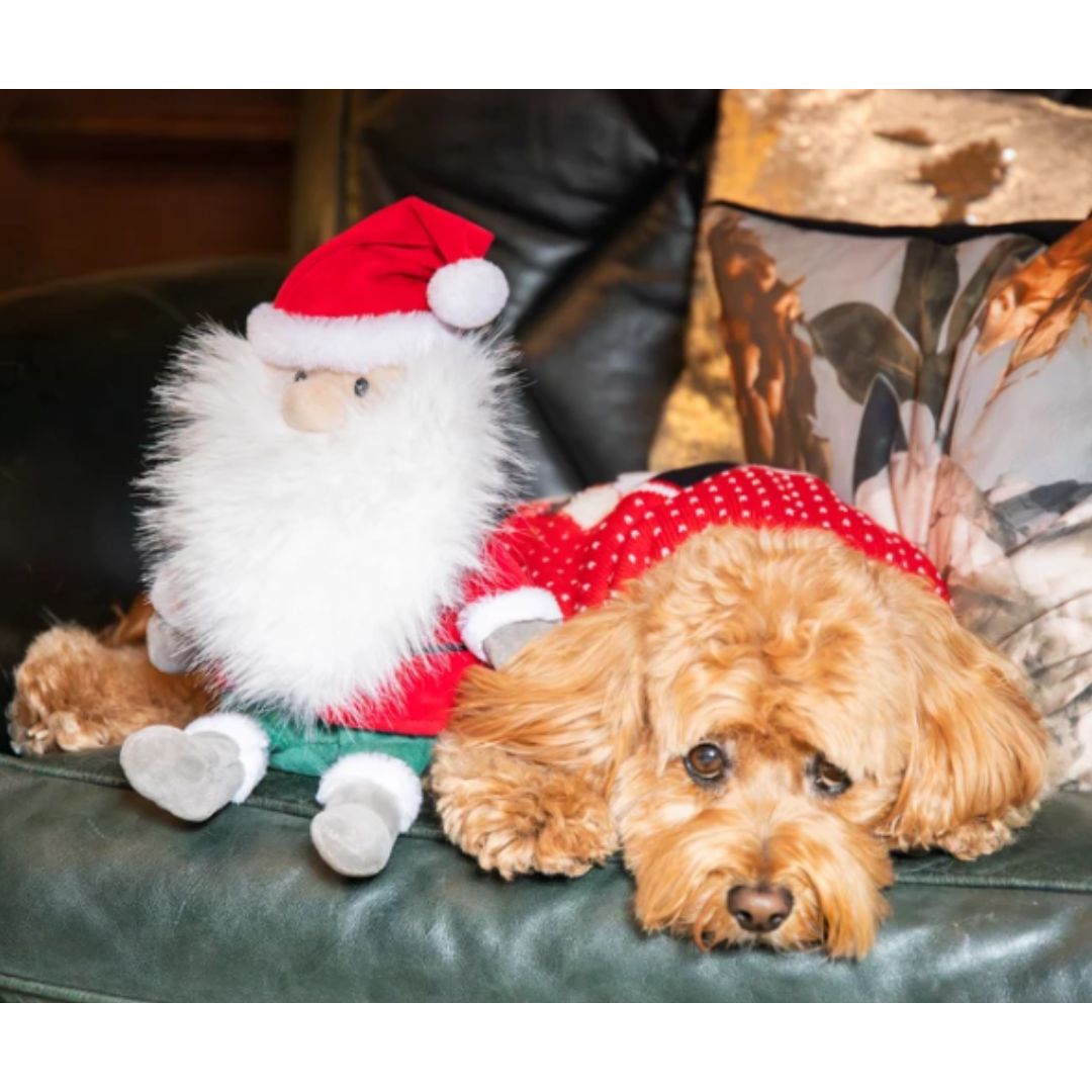 Sebastian Santa