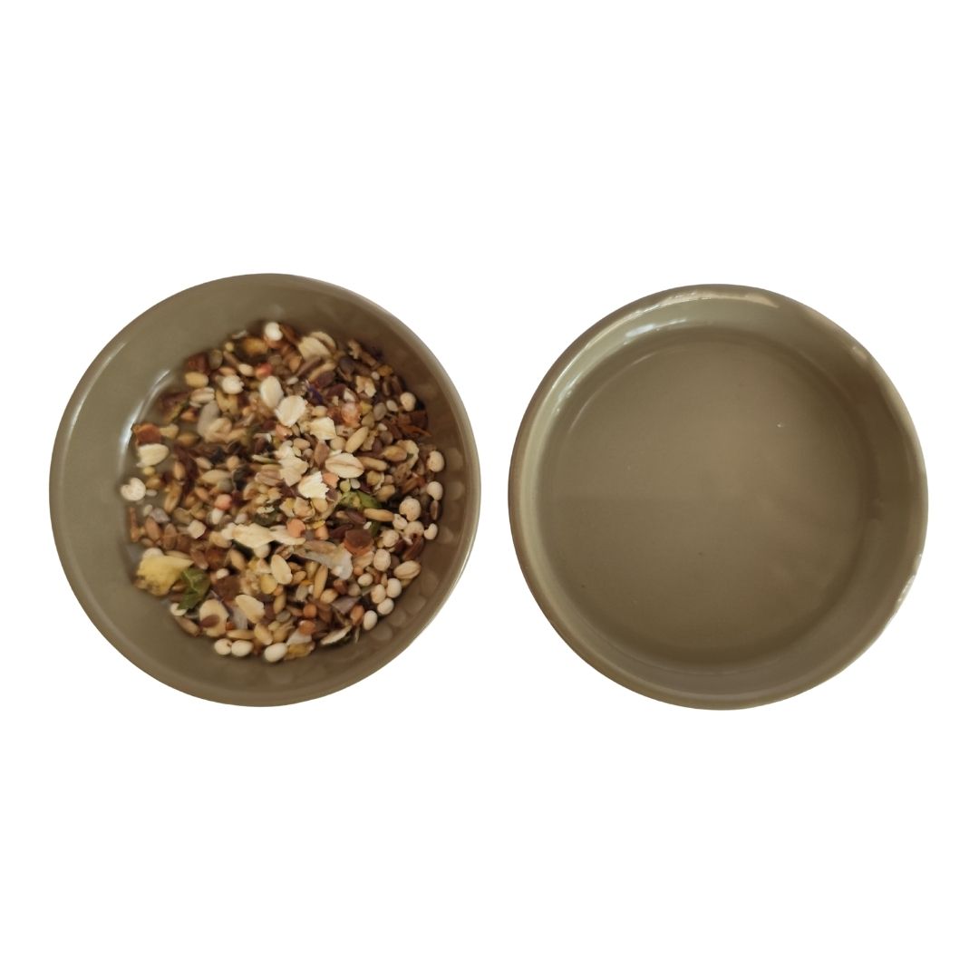 Small Animal Food & Water Bowls - Mud
