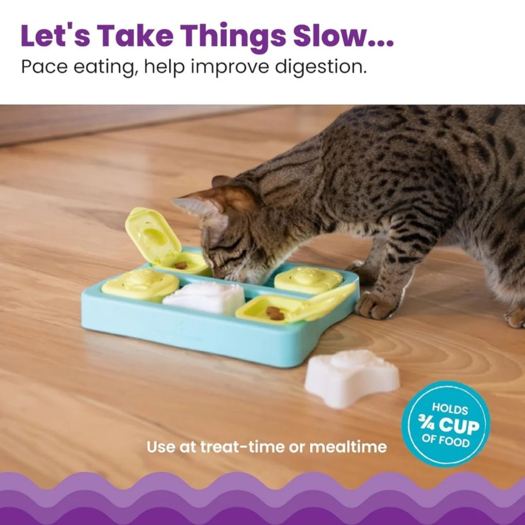 Kitty Cube Game Blu + Purrfect Pockets Sensitive Care (Value R70)