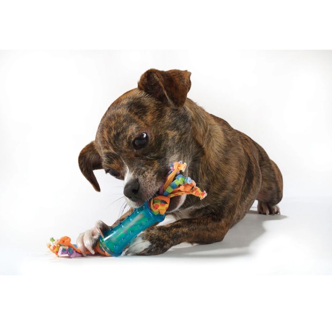 Mini Dental Chew Pack