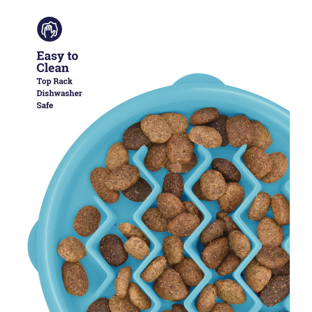 Cat Stages Kitty Slow Feeder 7