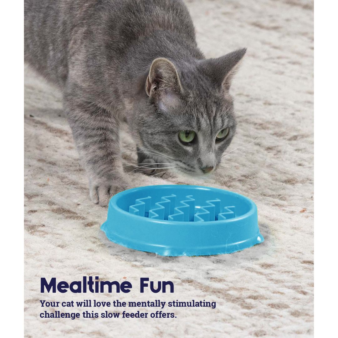 Cat Stages Kitty Slow Feeder 8