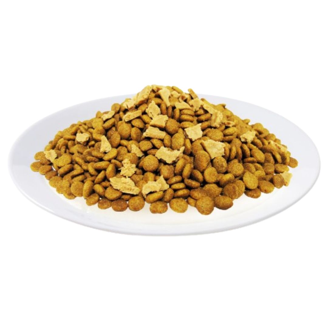 Kit Cat Chicken Cuisine (Hairball Control)