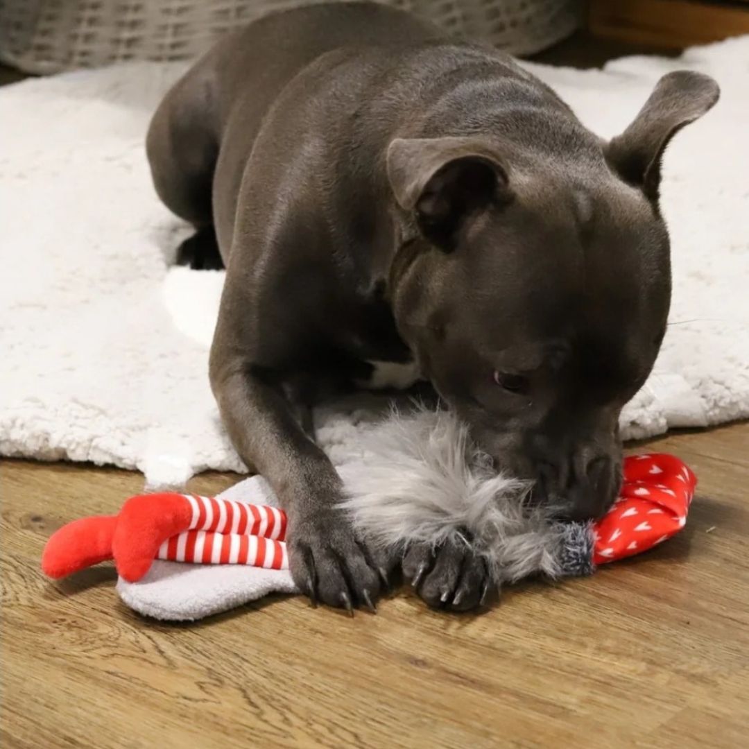 Crinkle Santa Sock