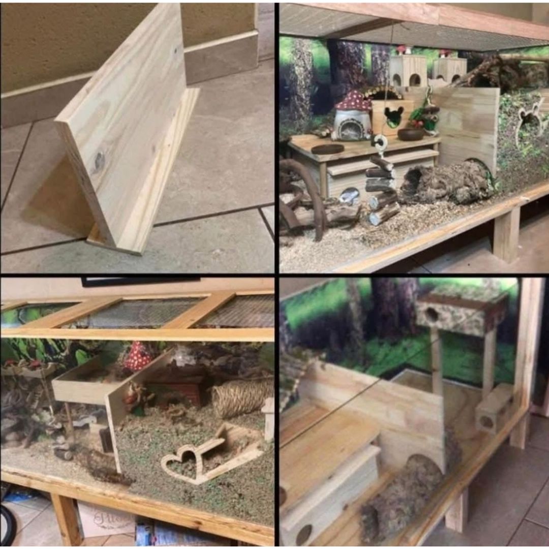 Dividing Walls With or Without Hole or Heart