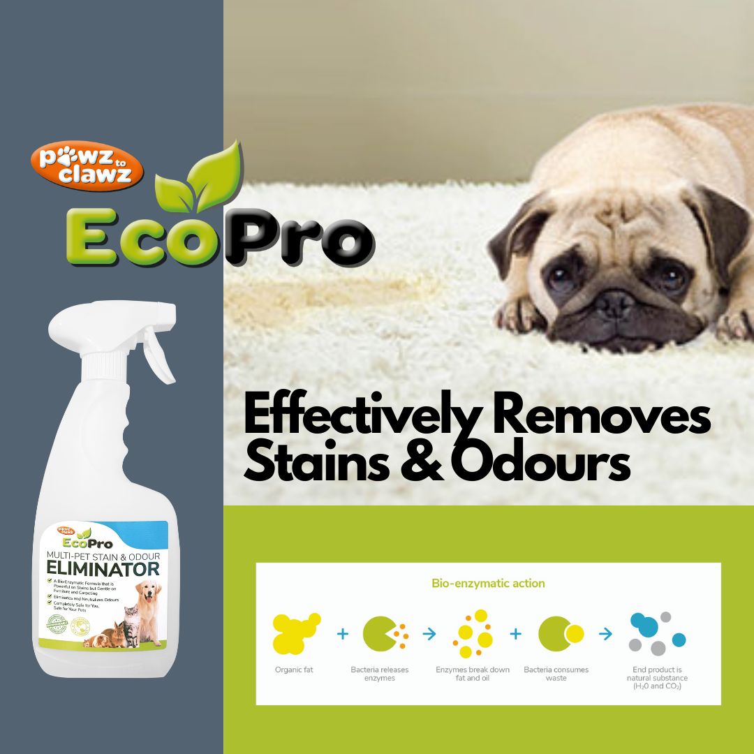 EcoPro Multi-Pet Stain & Odour Remover