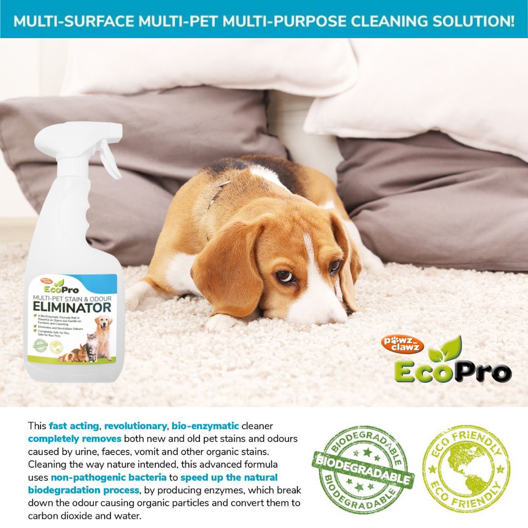 EcoPro Multi-Pet Stain & Odour Remover