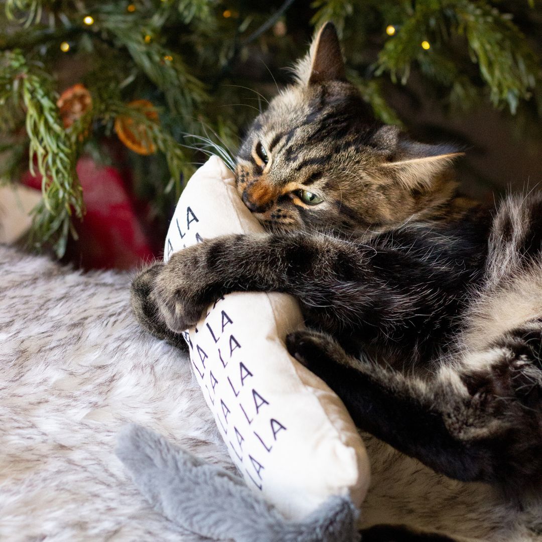 Fa La La Cat Kicker