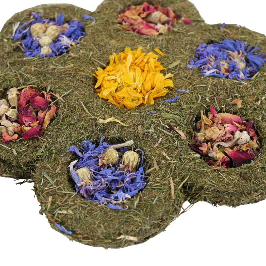Flower & Forage Blossom 2