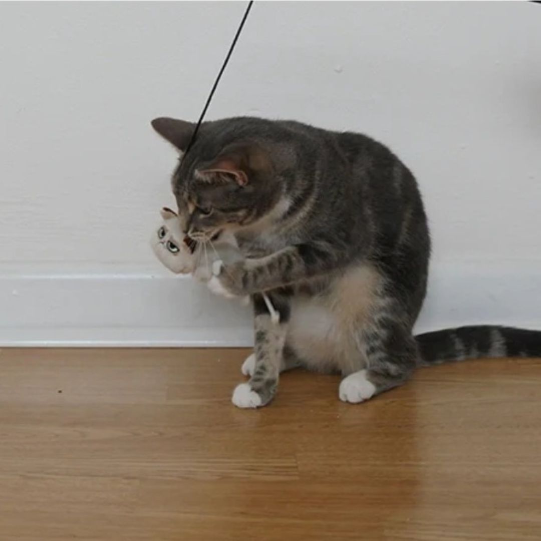 Grumpy Cat Wand