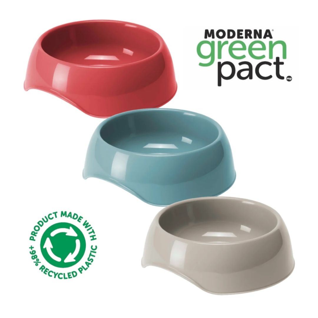 Gusto Bowls